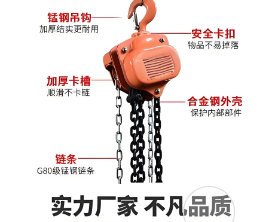 卓力生產倒鏈支持定制 卓力生產倒鏈支持定制